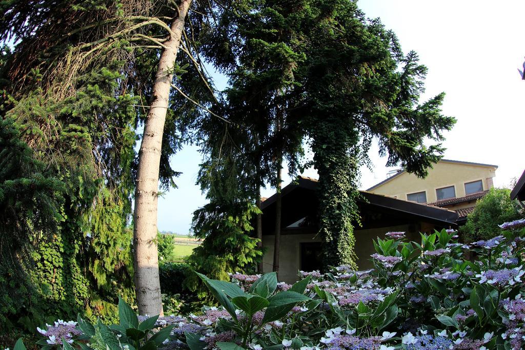 Le Soleil Villa Vigone Exteriör bild